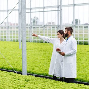 two-researches-man-woman-examine-greenery-with-tablet-all-white-greenhouse-min